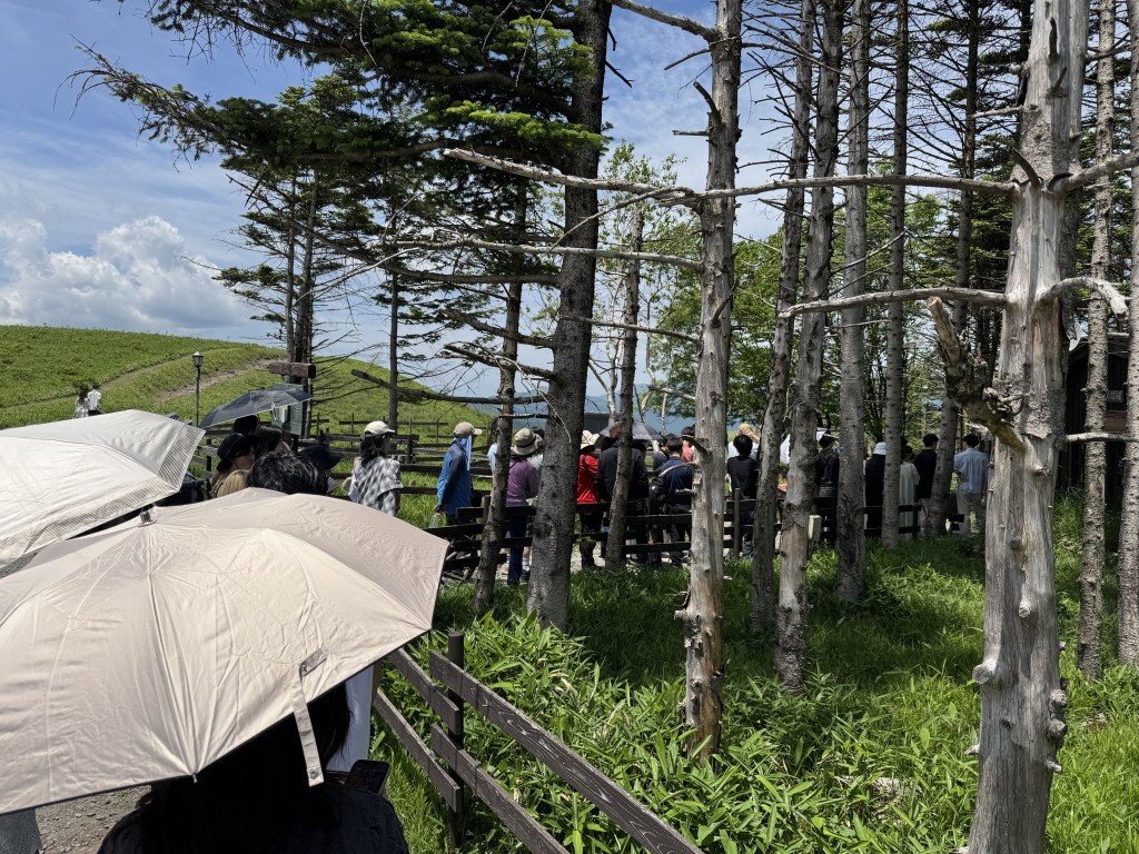 すごい行列